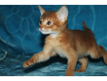 ����������� 704.jpg