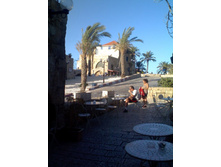 ������ ����