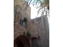 ������ ����