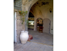 ������ ����