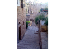 ������ ����