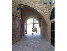 ������ ����