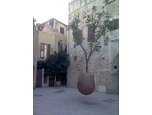 ������ ������ ����