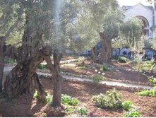 ������������ ��� 