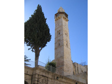 ������ �����