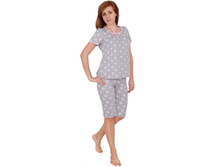 ������ P 017 ����� �������