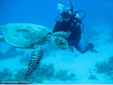 \"...��������! - ����� ������� - ������!\" (�)