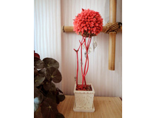 �������� ��������