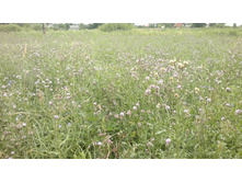 12072012466.jpg