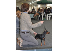 CACIB 24.11.12 031.jpg