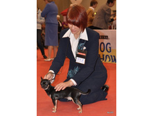 CACIB 24.11.12 064.jpg