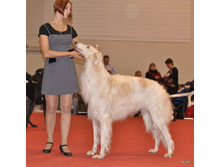 CACIB 24.11.12 100.jpg