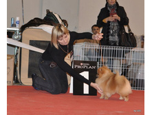 CACIB 24.11.12 171.jpg