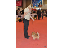 CACIB 24.11.12 106.jpg