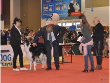 CACIB 24.11.12 109.jpg