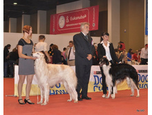 CACIB 24.11.12 113.jpg