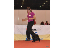 CACIB 24.11.12 116.jpg