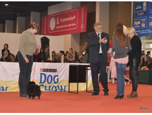 CACIB 24.11.12 120.jpg