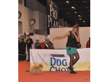 CACIB 24.11.12 123.jpg
