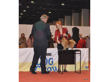 CACIB 24.11.12 125.jpg