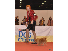 CACIB 24.11.12 126.jpg