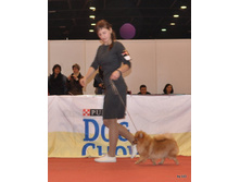 CACIB 24.11.12 128.jpg