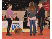 CACIB 24.11.12 136.jpg