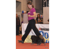 CACIB 24.11.12 143.jpg