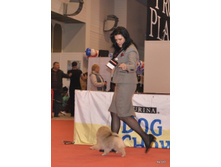 CACIB 24.11.12 150.jpg