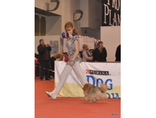 CACIB 24.11.12 160.jpg