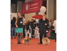 CACIB 24.11.12 162.jpg