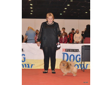 CACIB 24.11.12 169.jpg