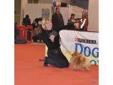 CACIB 24.11.12 170.jpg