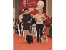 CACIB 24.11.12 194.jpg