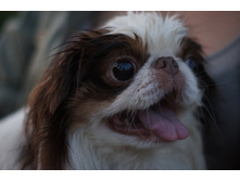 DSC04024_����� ������.JPG