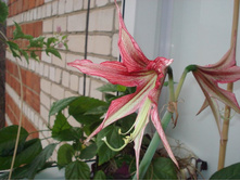 ��������������� 2.JPG