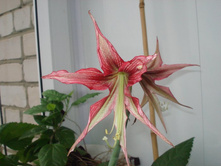 ��������������� 3.JPG