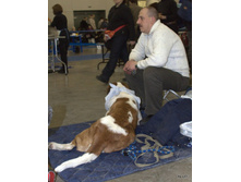 9-DSC_1463.jpg