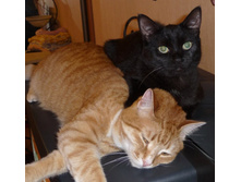 ����� � ������ �� ��.jpg