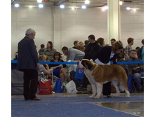 108-DSC_1465.jpg