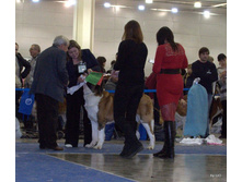 119-DSC_1525.jpg