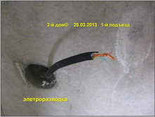 IMG_2993.JPG