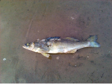 2012-07-13 20.23.51.jpg