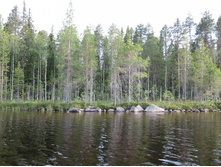 IMG_0258.JPG