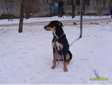 i04195 [������ 1024 ������ 768].jpg