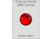 ���� ����1_thm.jpg