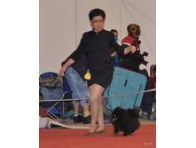 CACIB 25.11.12 183.jpg
