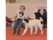CACIB 25.11.12 025.jpg