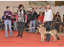 CACIB 25.11.12 039.jpg
