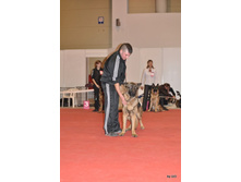 CACIB 25.11.12 041.jpg